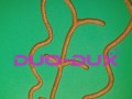 5eb853a48b91b12f8aa50c0b437fbd23