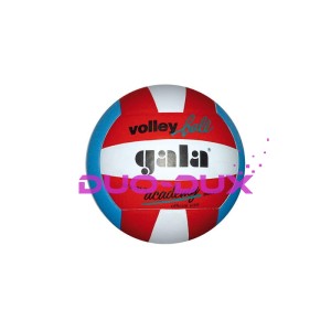 Piłka do siatkówki GALA Academy BV 5181S