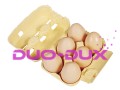 08075e95dfc1c8bbcbf81e1eb1956972
