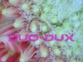 0db400f6c987c11ad04a8dacd0cfca46