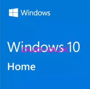 MICROSOFT WINDOWS 10 HOME 64 PL DVD OEM