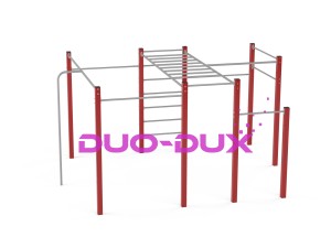 Street workout 01  (1501)