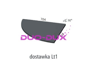 Dostawka Lt1