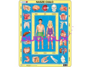 Puzzle anatomiczne