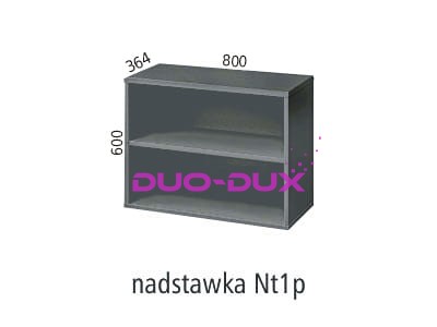 Nt1p.jpg