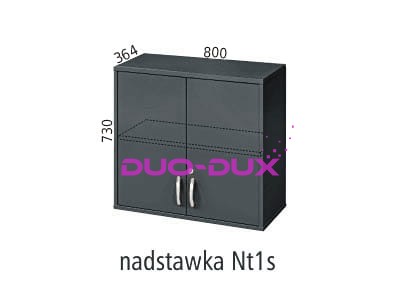 Nt1s.jpg
