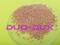 8419c1e9de8cadc7e5640587e6f12151