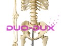 93d0e34f0dea6138e913e89fb0f484e7