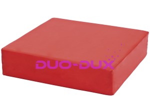 Plaster