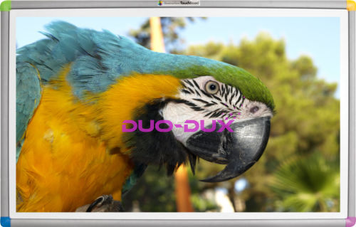 touchboard_plus1078.png