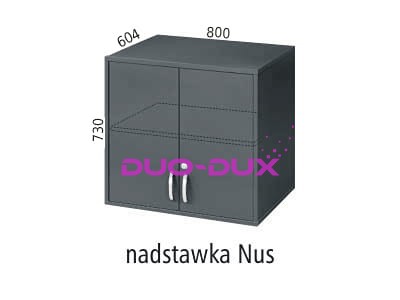 Nus.jpg