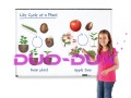 d37980caa0a74fd070ee90418bab3914
