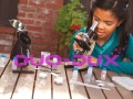 d3c73d93ed95026632404281d9ca5d05