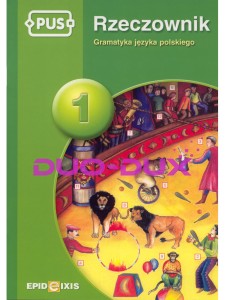PUS. Rzeczownik 1