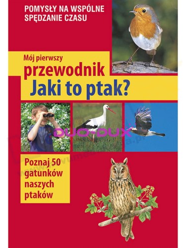jaki to ptak.jpg
