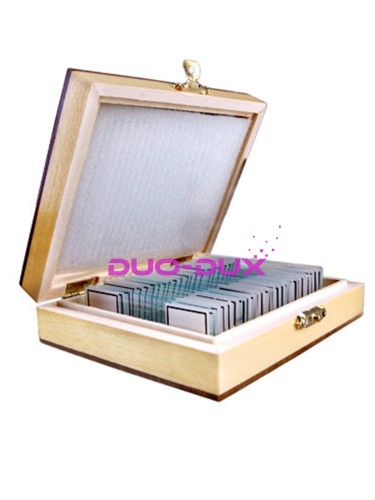 dd9410f0c01013efc6bcc3bfaaeafb56