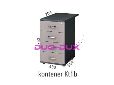 Kt1b.jpg