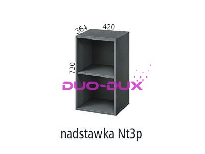 Nt3p.jpg